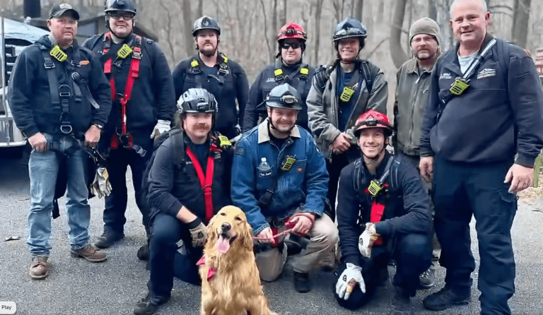 Nelson : Crabtree Falls : Area Crews Rescue Dog From Other Side Of Falls